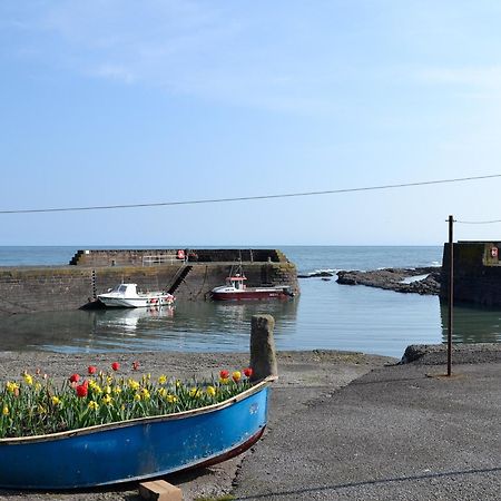 Harbour View Villa Johnshaven Bagian luar foto