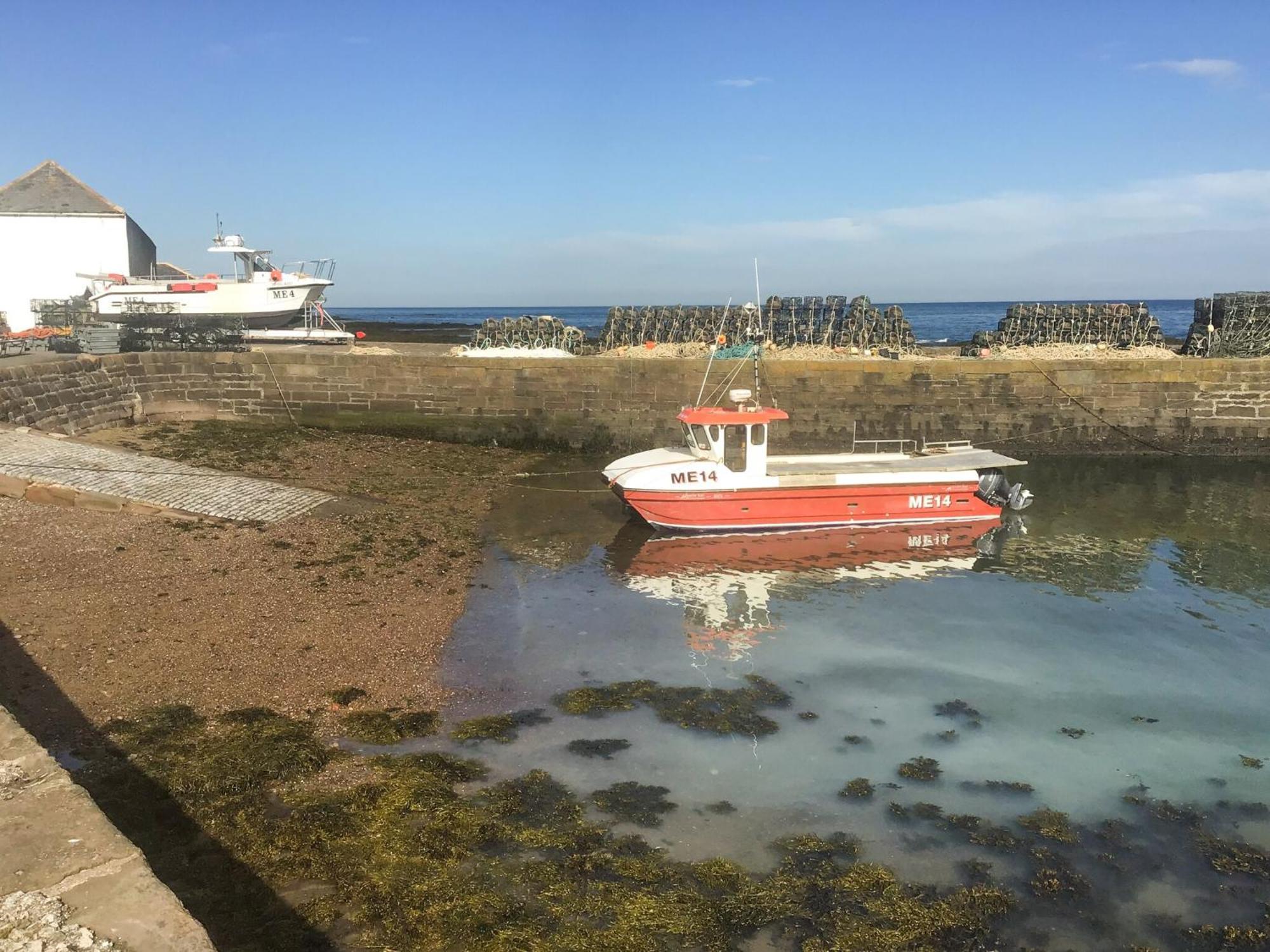 Harbour View Villa Johnshaven Bagian luar foto
